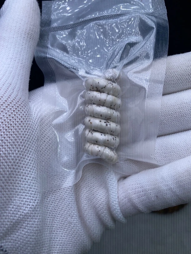 【瑞生】卡6新手体验款原生态大肠