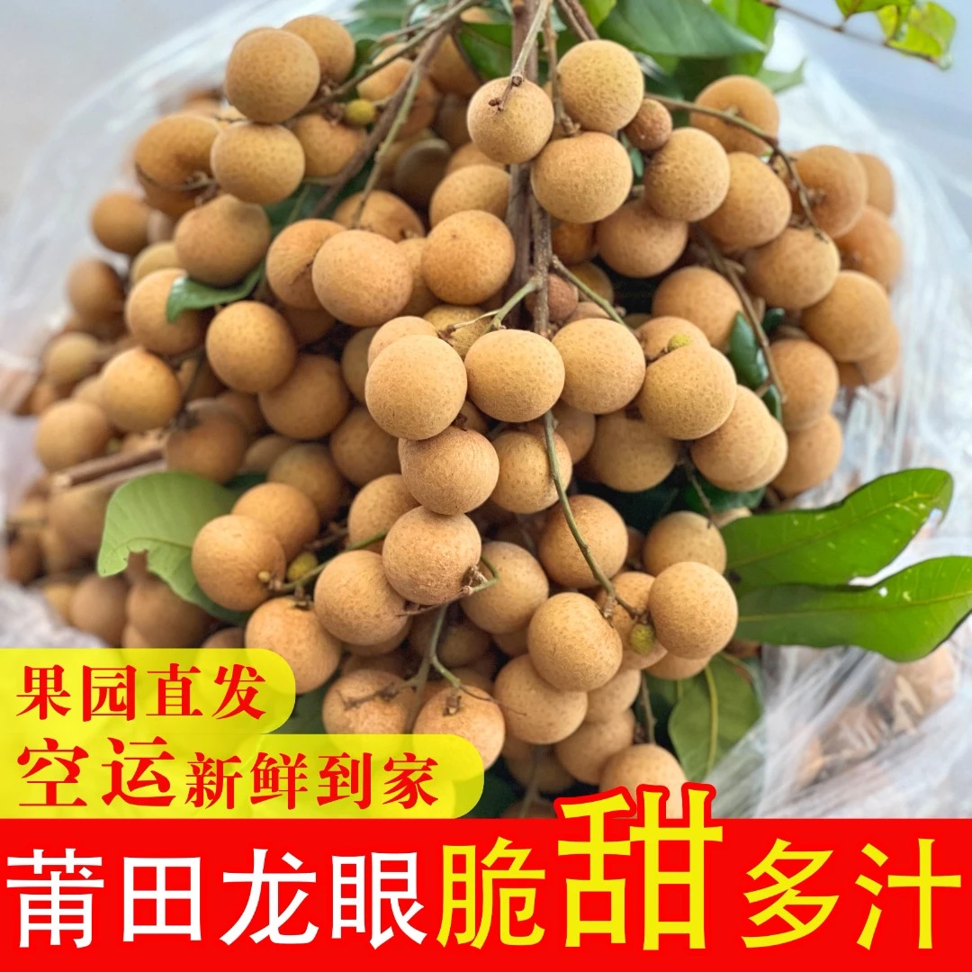 福建莆田新鲜老树龙眼现摘现发空运包邮脆甜多汁当季新鲜水果5斤
