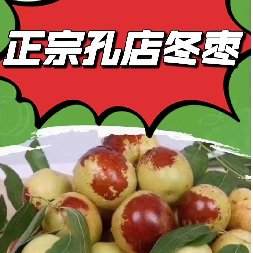 黄骅孔店冬枣现摘现发5斤京东包邮优友品
