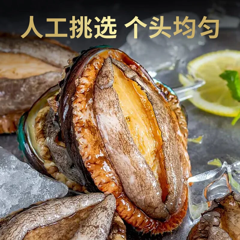 精选鲜冻大鲍鱼（8头/袋*2）新鲜活冻鲍鱼速冻锁鲜 420g/袋