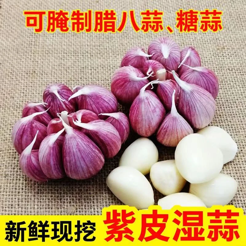 云南紫皮大蒜多瓣红蒜香蒜腌制糖醋湿蒜新鲜直供
