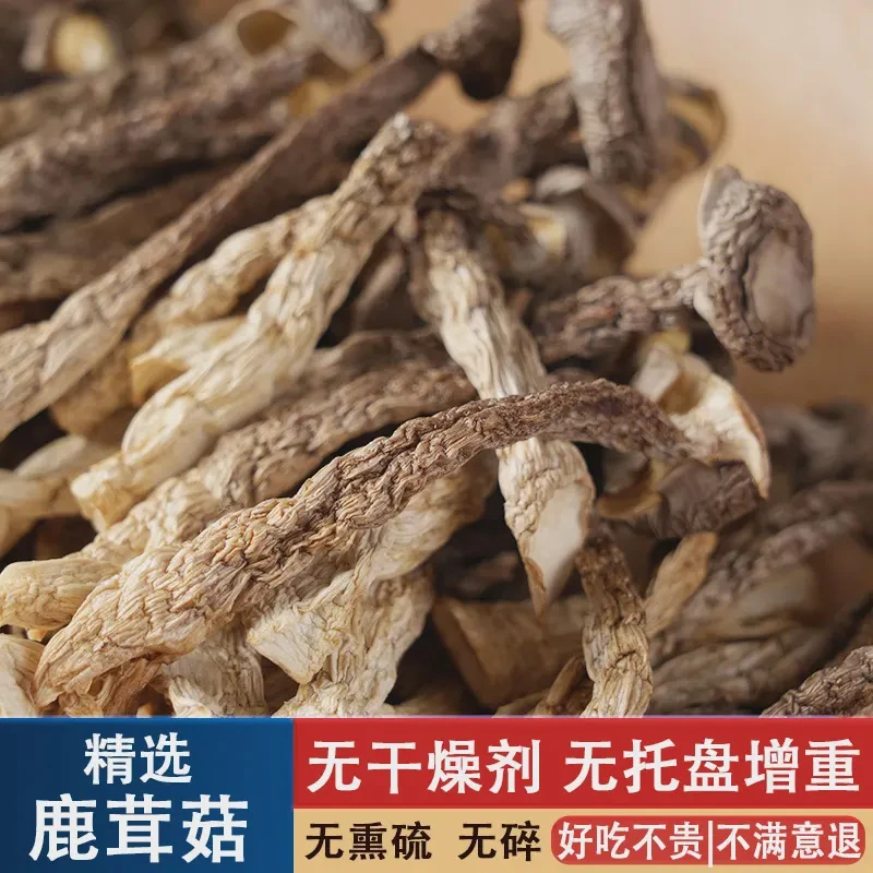 【试吃 8月野生头茬精品嫩菇】