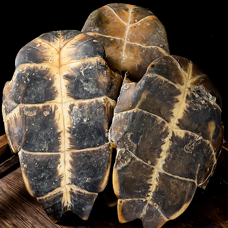 生龟板精选农家晒干龟下甲干甲龟板生晒龟板100g-500g包邮非葛根