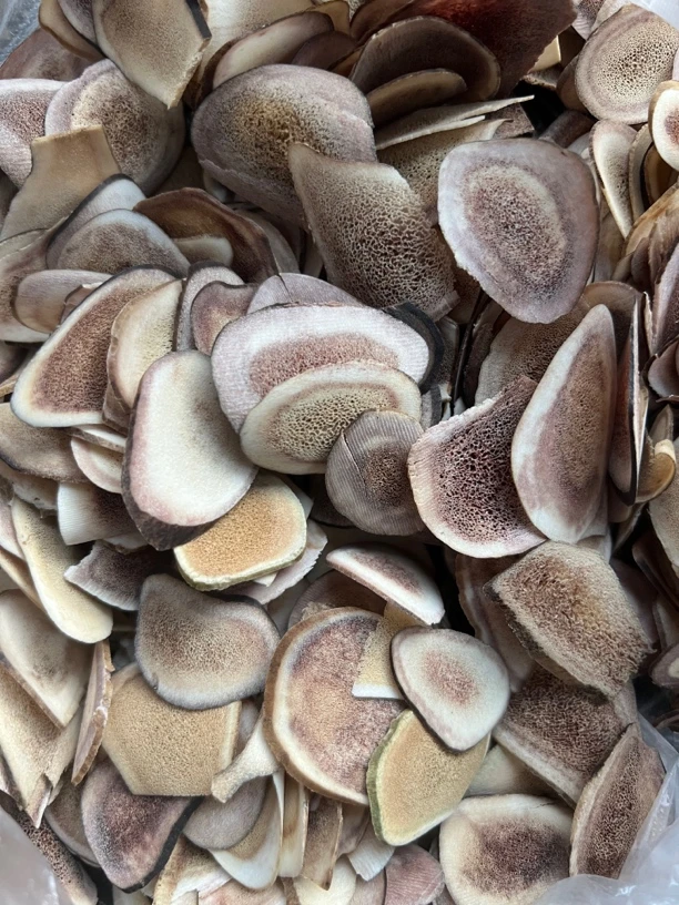 云顶之南-山货【录容】50g_500g葱