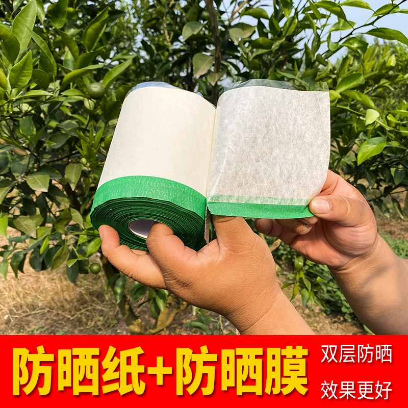 双层柑橘防牛皮纸晒贴纸太阳果贴纸水果防晒纸柑桔防晒贴果子橘子