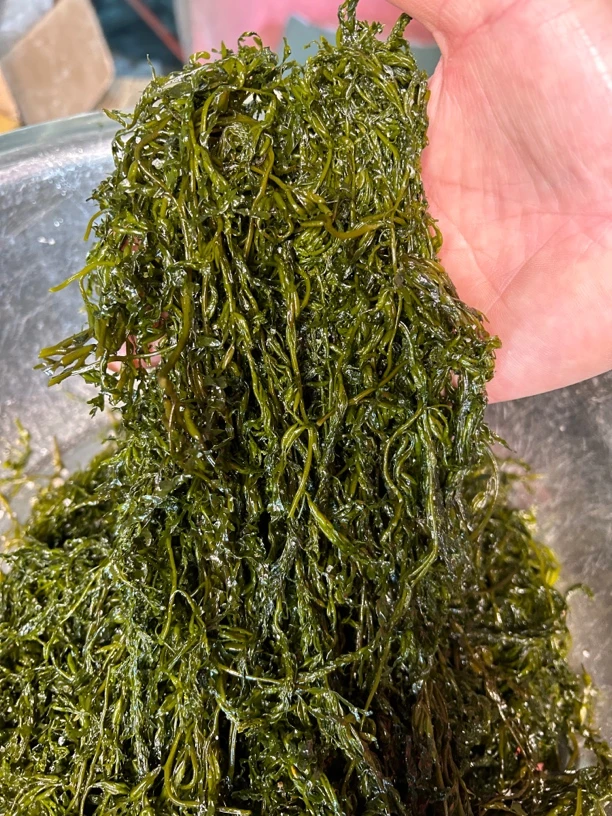 【旅呀嘻】新鲜盐渍鞭炮笋（4斤/箱）（常温发货，冷冻保存）