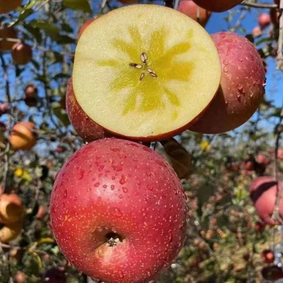 冰糖心丑苹果糖心苹果脆甜多汁孕妇水果