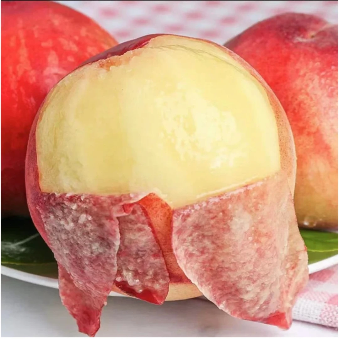 【特级品】水蜜桃红蜜桃香甜爆汁当季新鲜水果现摘现发只做现桃子