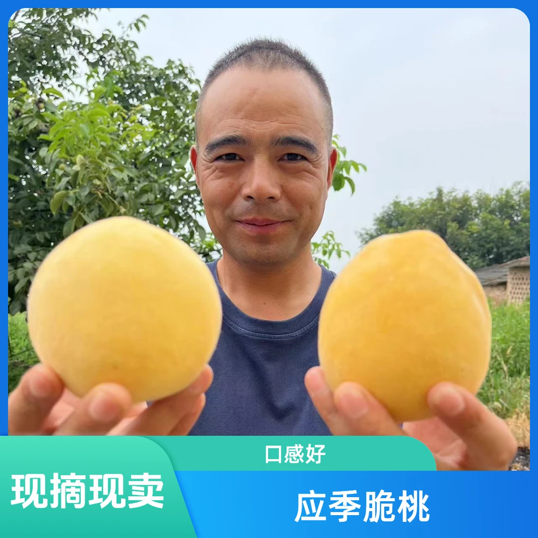 脆甜黄桃正宗新鲜水果黄金毛桃蜜应季脆桃黄桃现摘美味5斤8.5斤