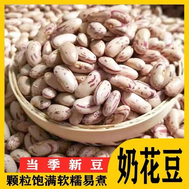 2024年新奶白花芸豆