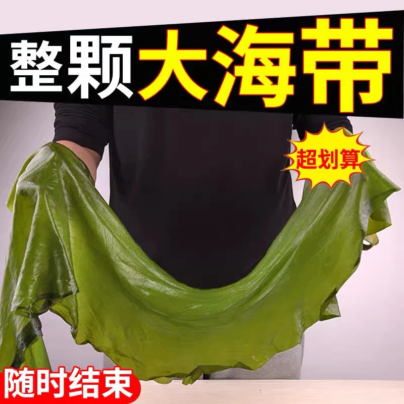 新鲜整颗大海带5斤盐渍海带包饭半干货凉拌菜火锅打饭包