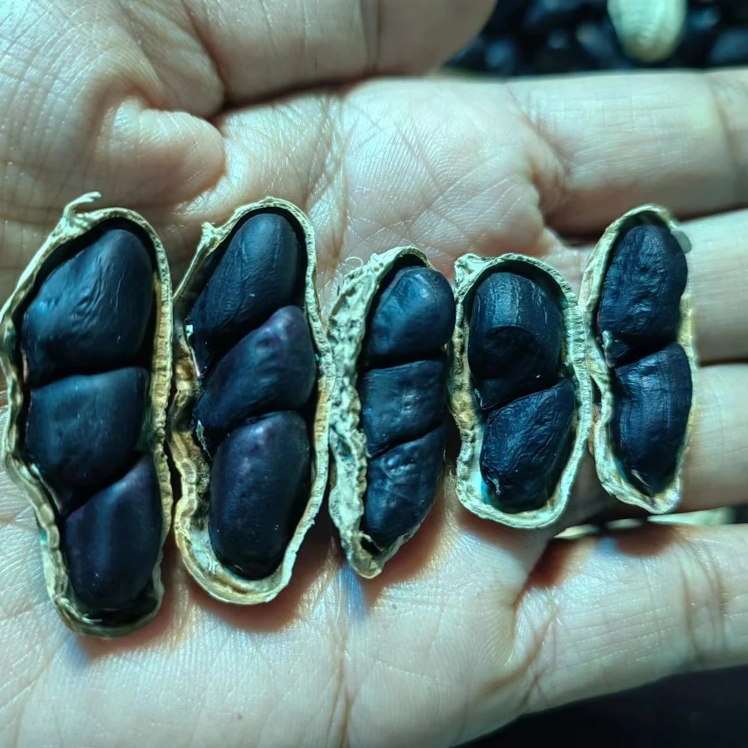 云南特产农户自家富硒黑花生500克一袋