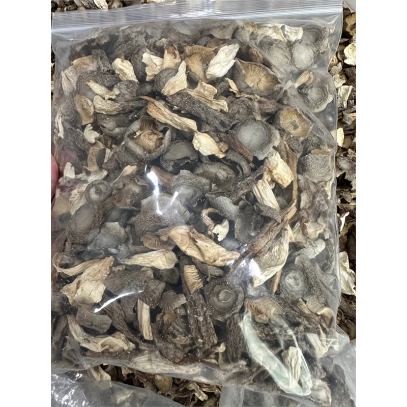 鹿茸菇干货 鹿茸菇碎片 剁肉饼 做包子馅 蒸炒