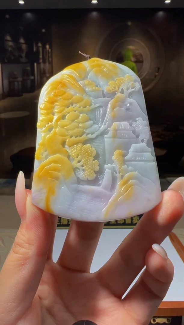 【闪购商品】翡翠颈饰未镶嵌Y2024-8-25-48