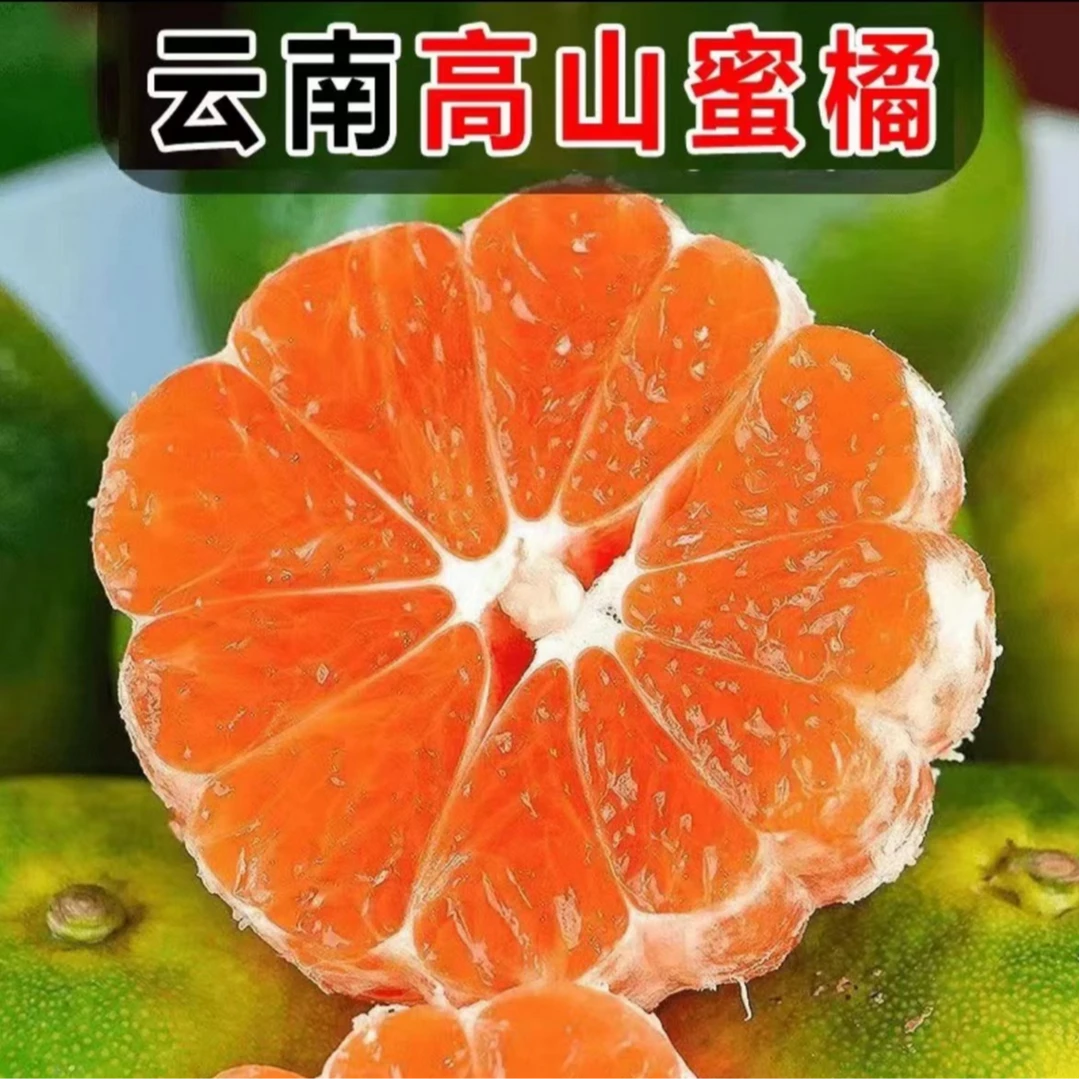 青皮橘子云南蜜桔无添加无籽8分甜2分酸口感10斤带箱新鲜