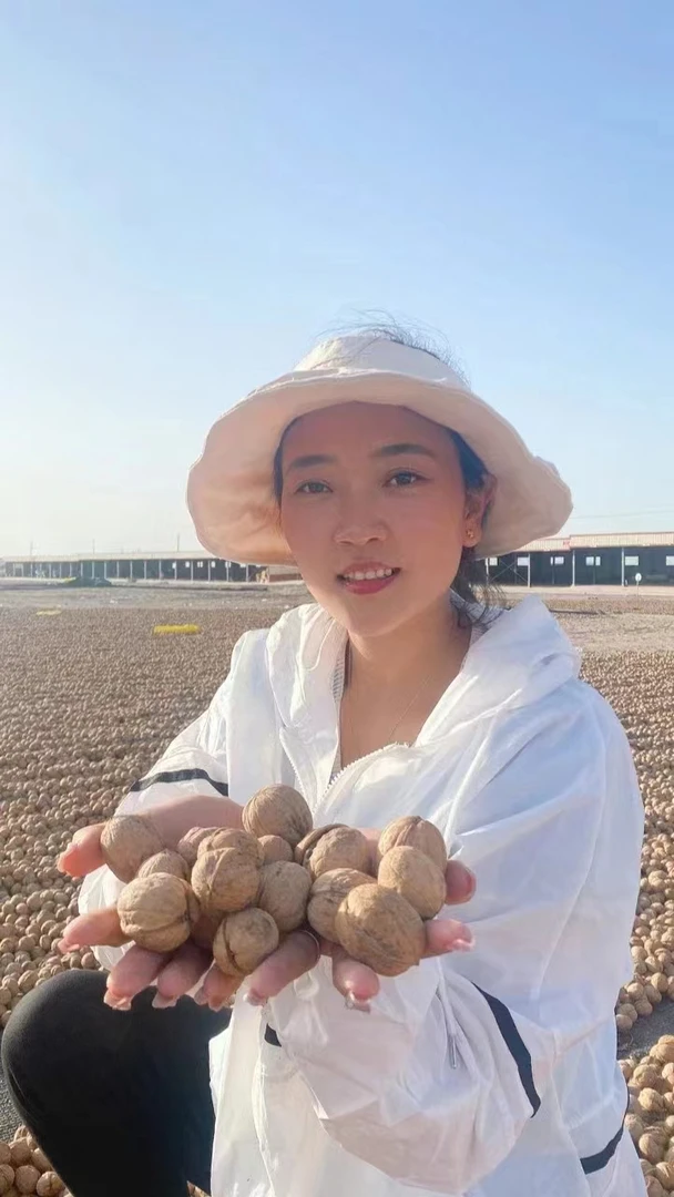 新疆和田纸皮核桃5斤