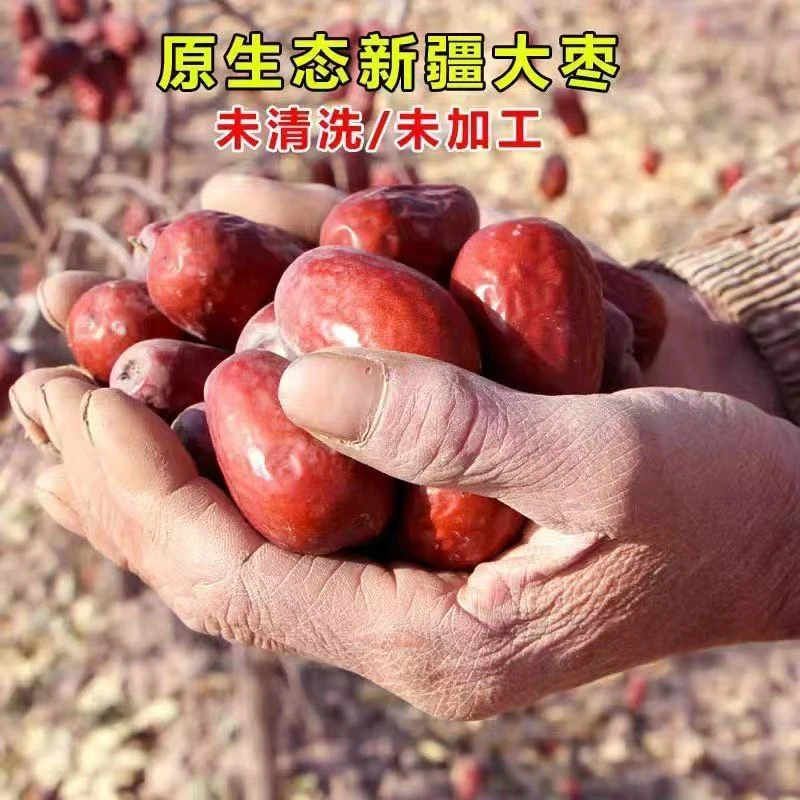 和田大枣「123级混合」5斤送1斤