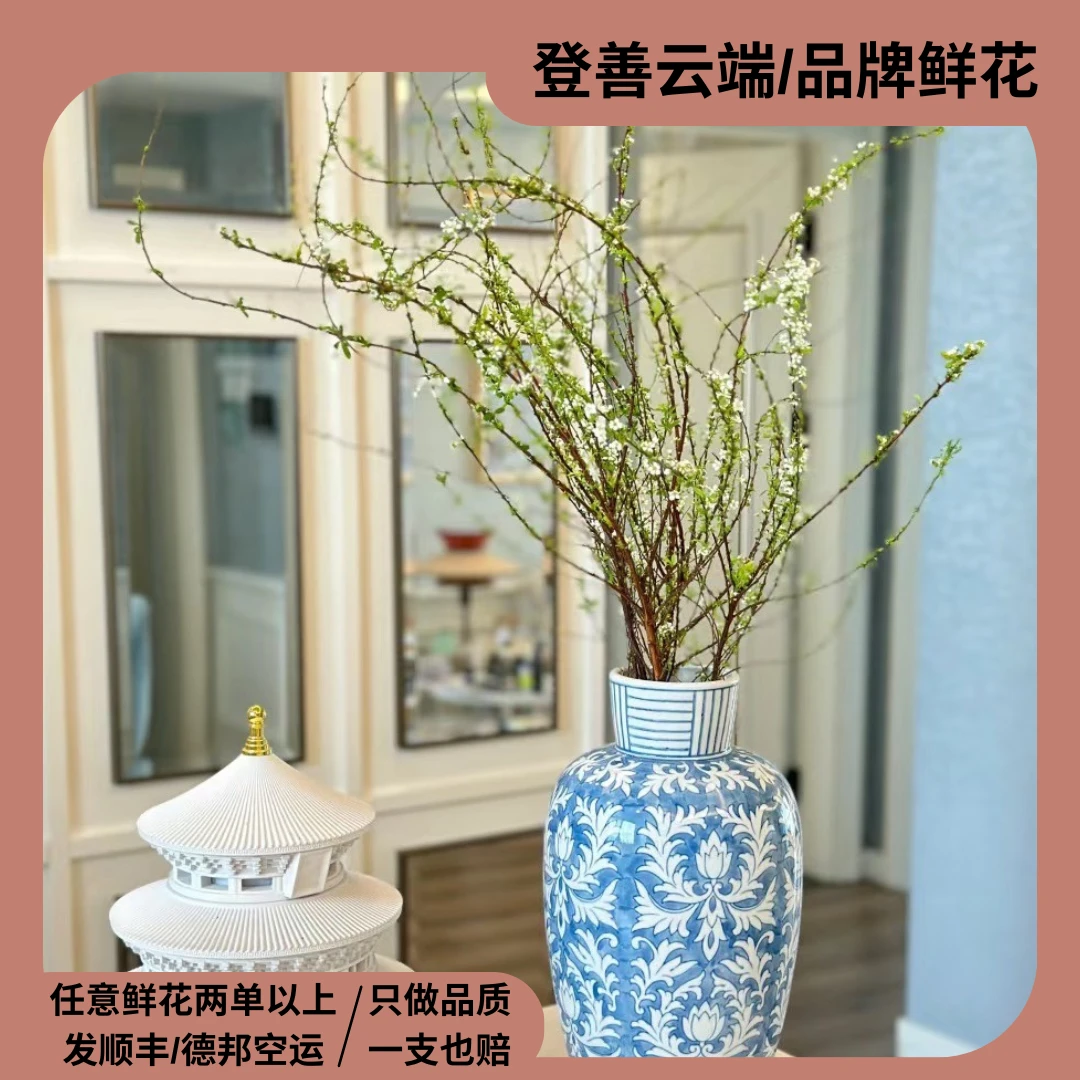 【凑单福利】【雪柳】优质鲜枝雪柳云南鲜花鲜枝条枯木逢春花喷雪花