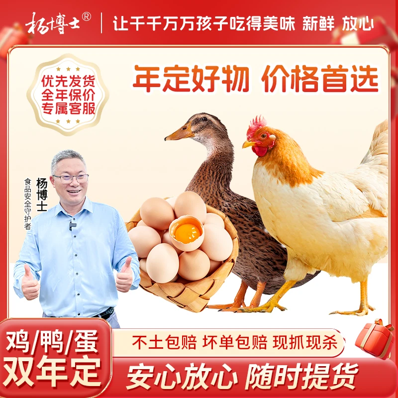【双年定送老母鸡】杨博士皖南高山散养土鸡鸭年定+新鲜土鸡蛋年定