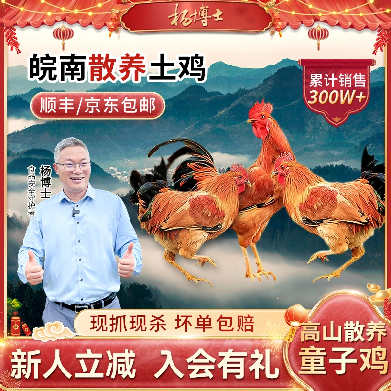 杨博士土鸡童子鸡皖南高山放养鲜嫩紧实仔公鸡单只净重1.3斤以上