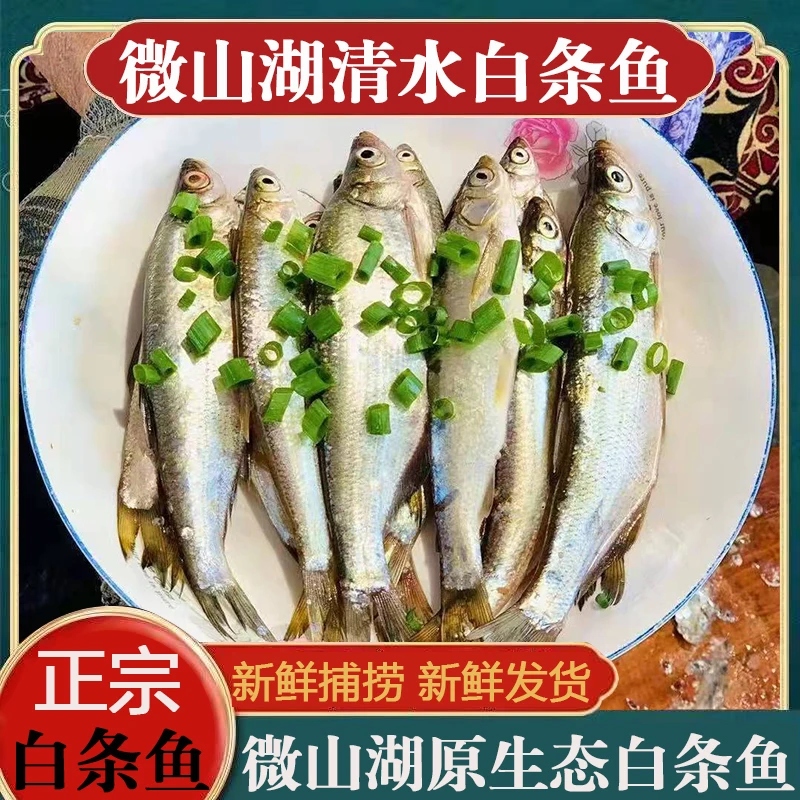 微山湖新鲜白条鱼清水小河鱼餐条鱼渔民捕捞新鲜发货真空包装品质