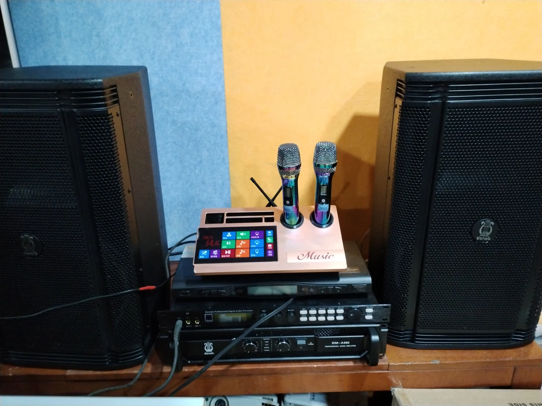 全新帝道十二寸搭配帝道功放四件套，不包邮