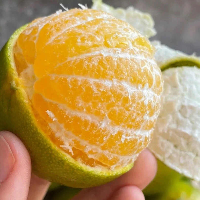 广西皇帝柑大果贡柑橘新鲜水果当季整箱沃5柑蜜砂糖桔子纯甜2-9斤