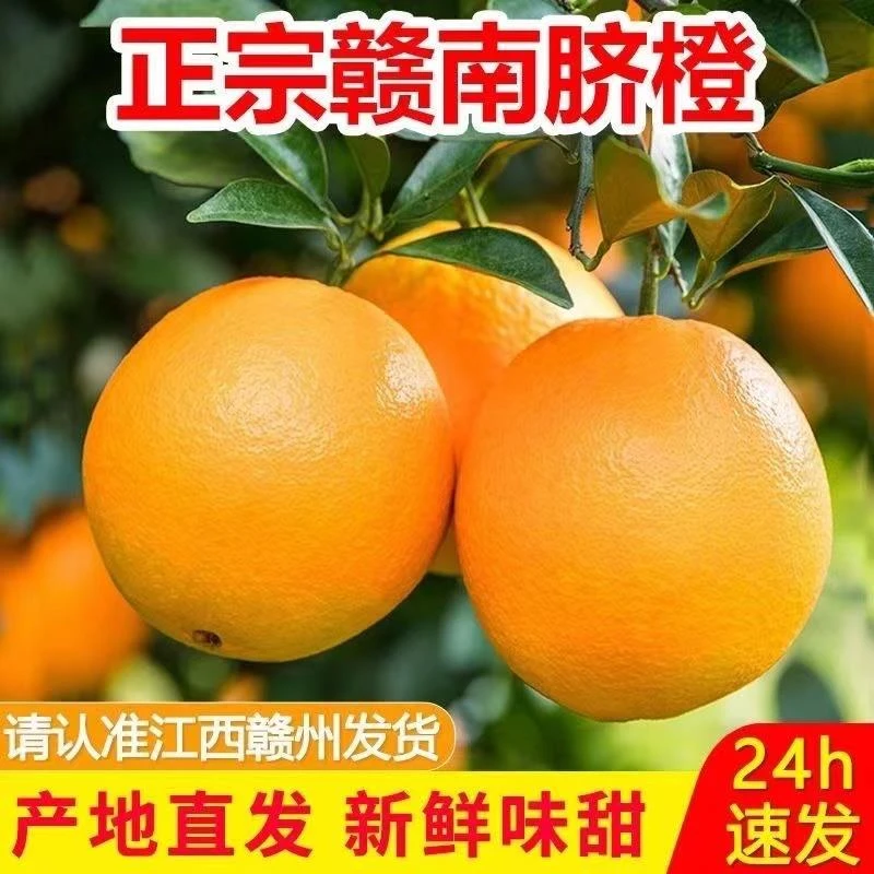 江西赣南脐橙新鲜现摘甜橙应季水果自然香甜多汁现货现发2-9斤装