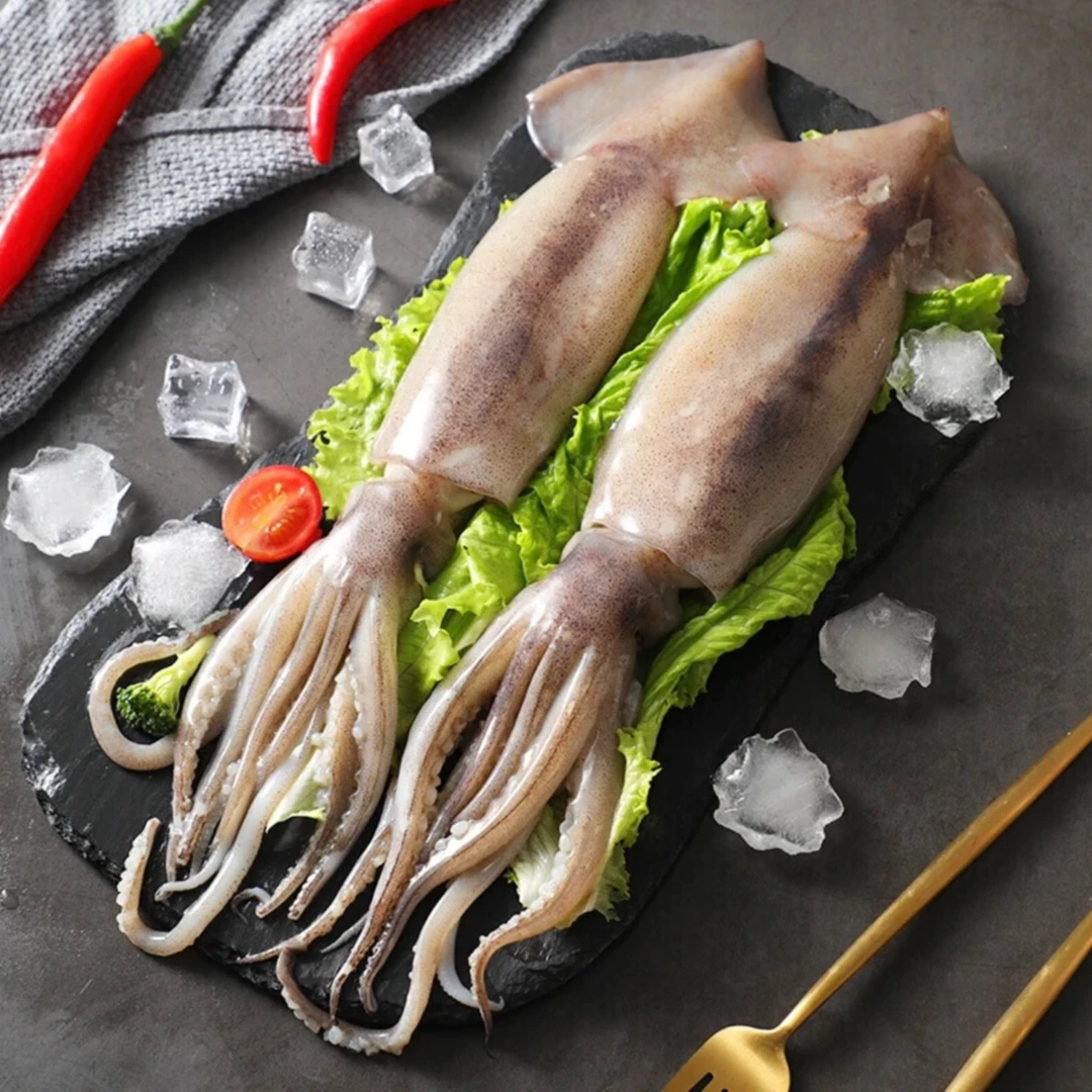 【海鲜日记】新鲜大鱿鱼 速冻锁鲜美味海鲜鱿鱼 到手5斤（3条鱿鱼）