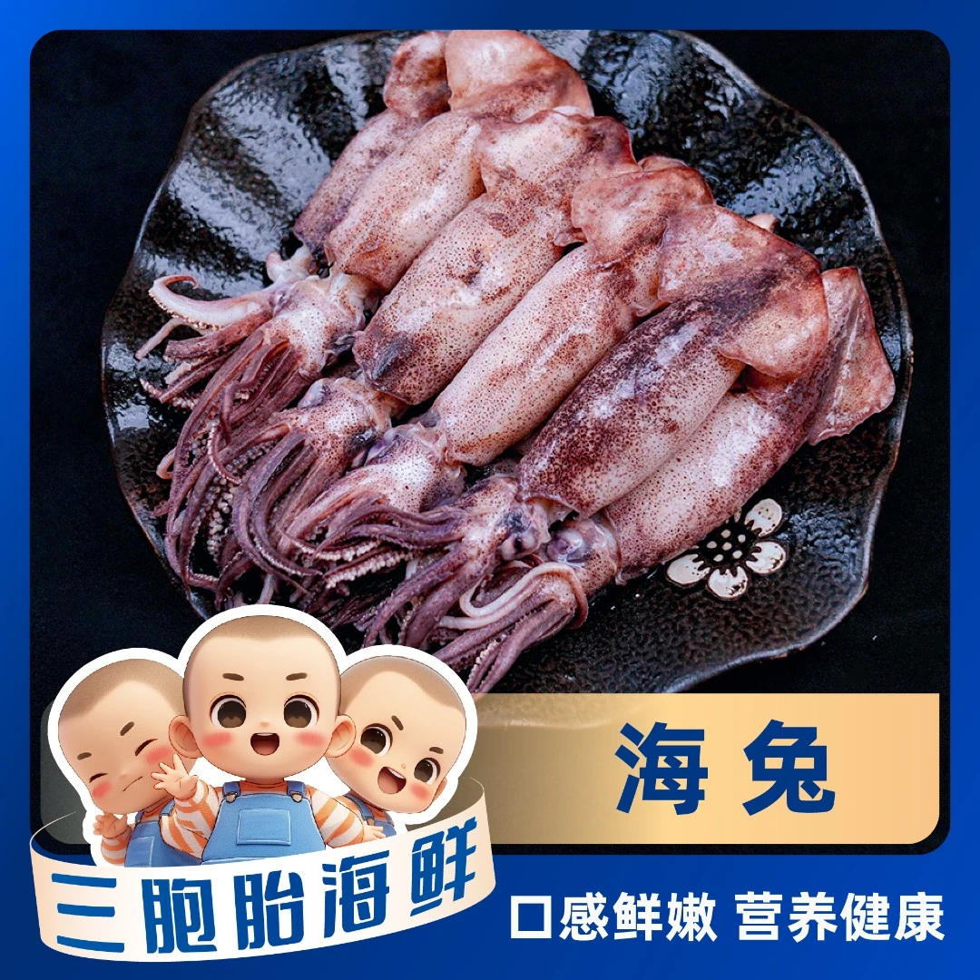 【海鲜日记】新鲜美味全籽海兔含保护冰10只/包 *5包（到手总共50只）