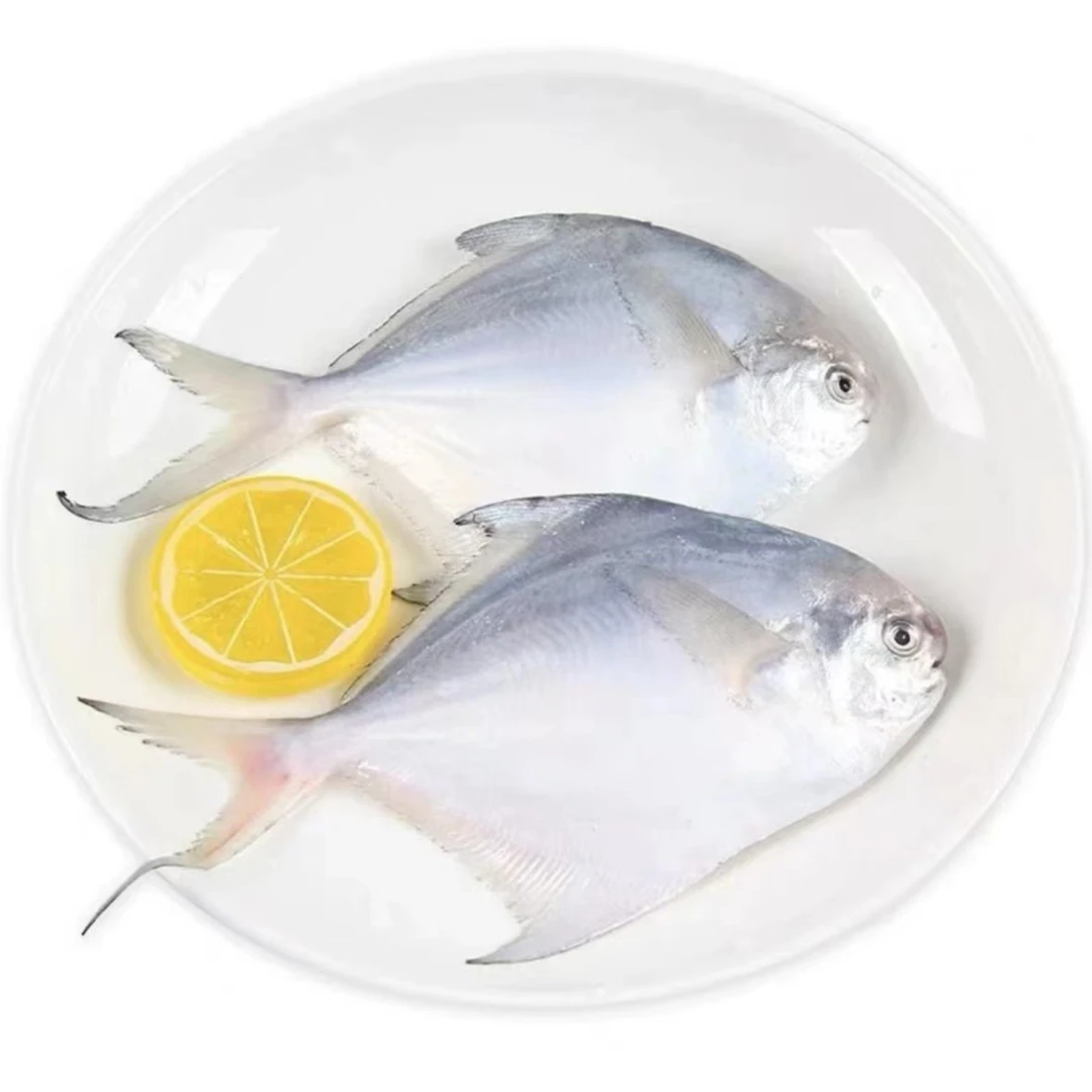 【海鲜日记】新鲜银鲳鱼 速冻锁鲜肉质鲜嫩 一包6条  480g/包*6包