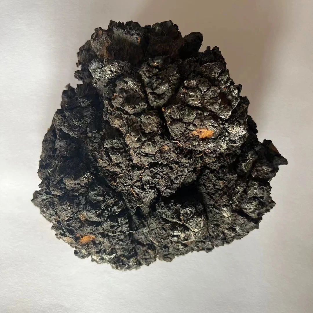 山货，长白山桦褐孔菌250克 桦树茸 一袋
