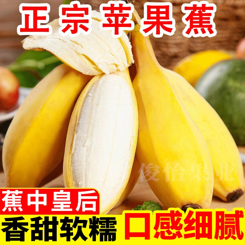 【主播专享】广西苹果蕉10斤/5斤时令新鲜水果西贡蕉粉蕉香蕉批发