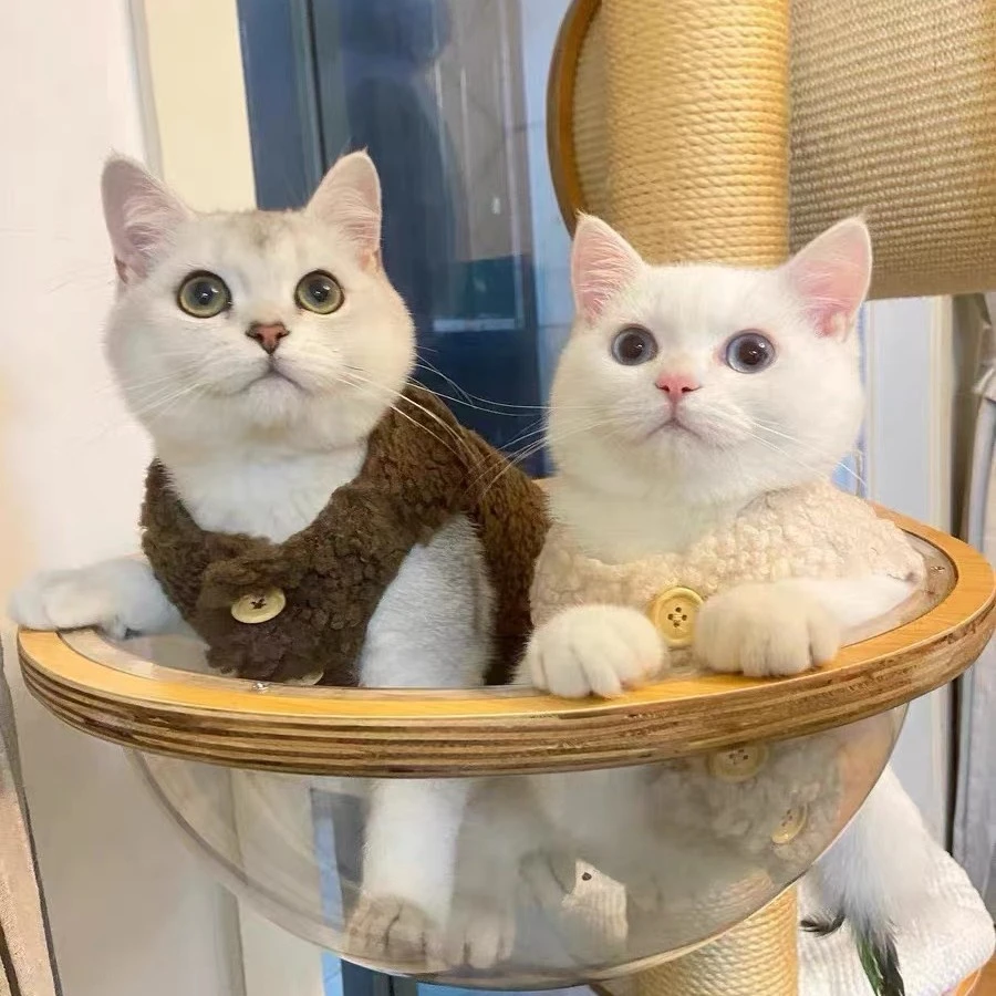 可爱ins狗狗猫咪衣服保暖羊羔毛马甲背心秋冬款泰迪博美宠物冬装