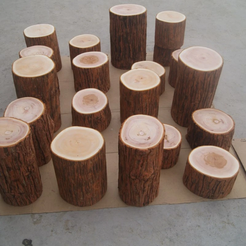 特价香椿木原木木墩实木凳子根雕茶几凳大板底座摆设拍摄背景道具