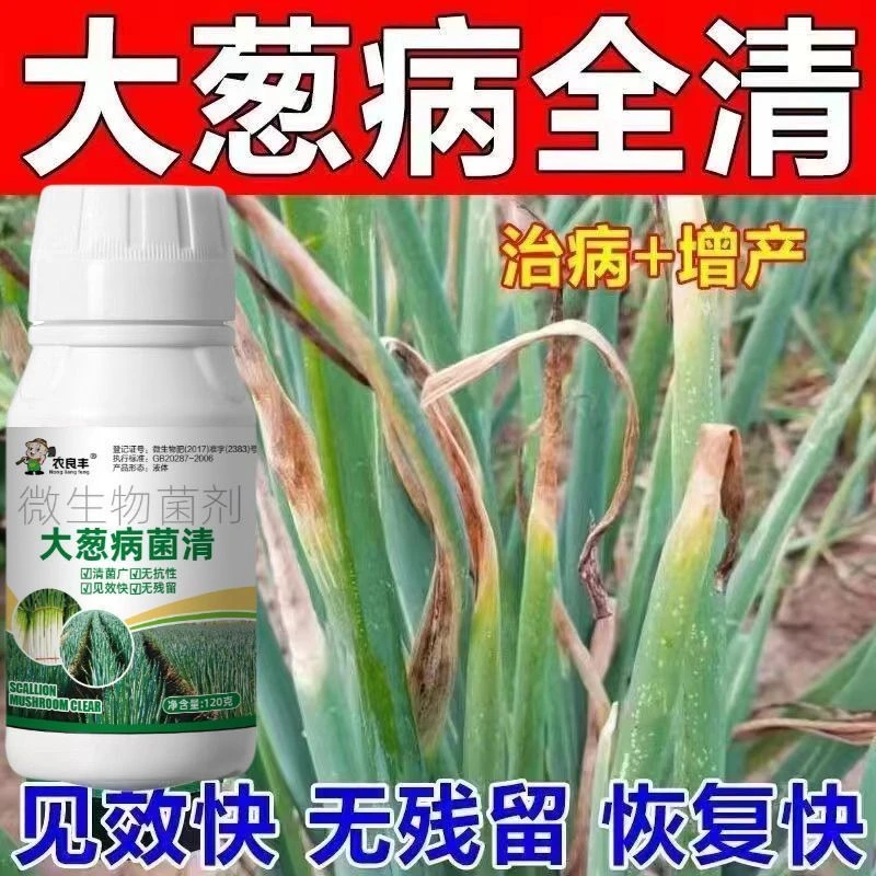 大葱病害专用病菌黄叶预防干尖软腐病疫病病毒白粉病锈病非农药
