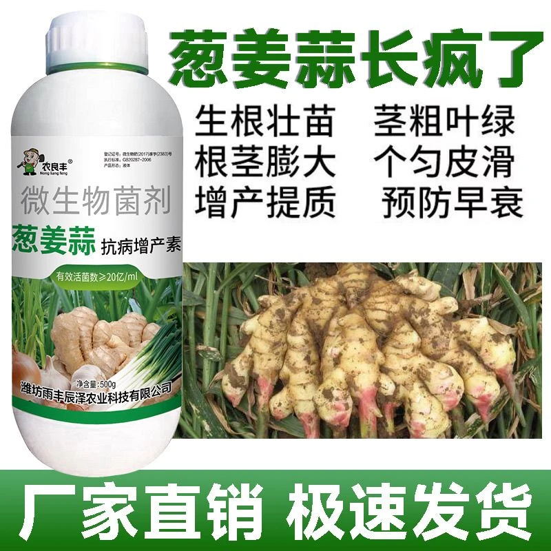 正品姜蒜大姜韭菜专用药姜瘟清农药生姜黄叶姜瘟烂脖子瘟病防治