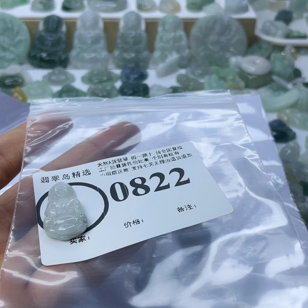 【闪购商品】翡翠颈饰未镶嵌