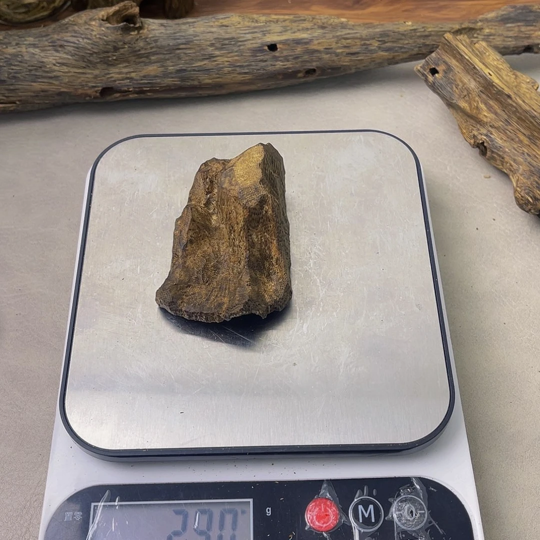 沉香木手把件陶*陆河包头29克