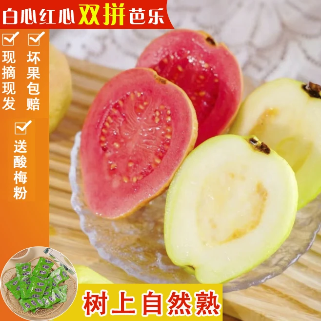 广西软芭乐3斤5斤红心芭乐白心芭乐珍珠芭乐番石榴芭乐果软糯香甜