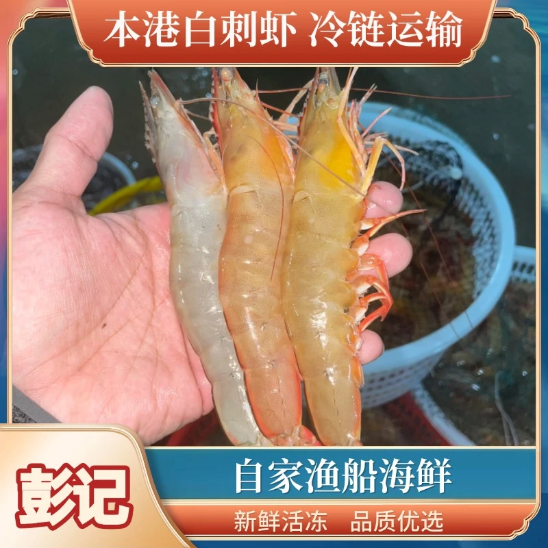 【保鲜保肥不保活】野生白刺虾马宫港头海捕明虾自然海鲜明虾明虾