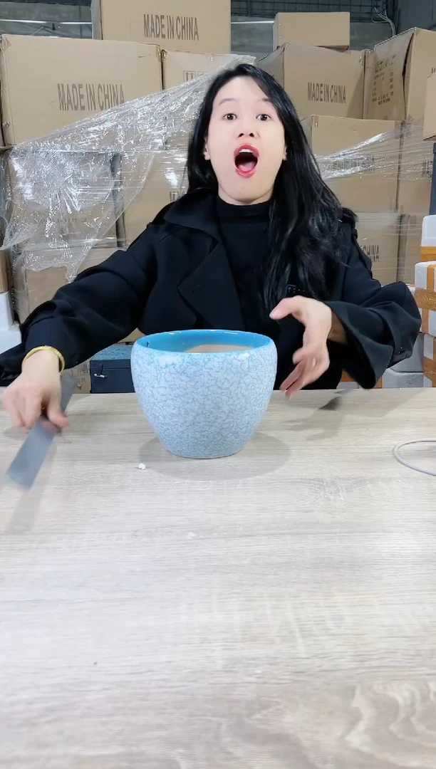 【闪购商品】陶瓷15cm以下苹果裂纹蓝色小号17X14