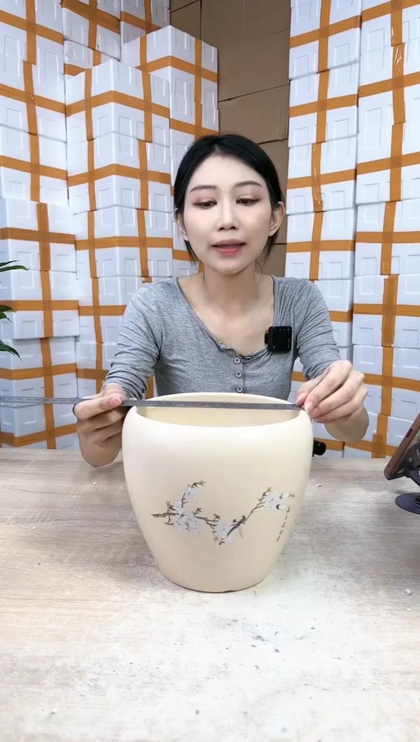【闪购商品】陶瓷20CM以下蛋型喜上米黄中号19x19