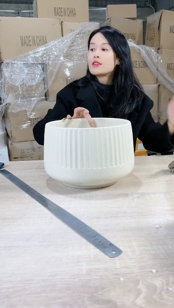 【闪购商品】陶瓷15cm-20cm蝴蝶兰半条纹雪花米黄大号26X18