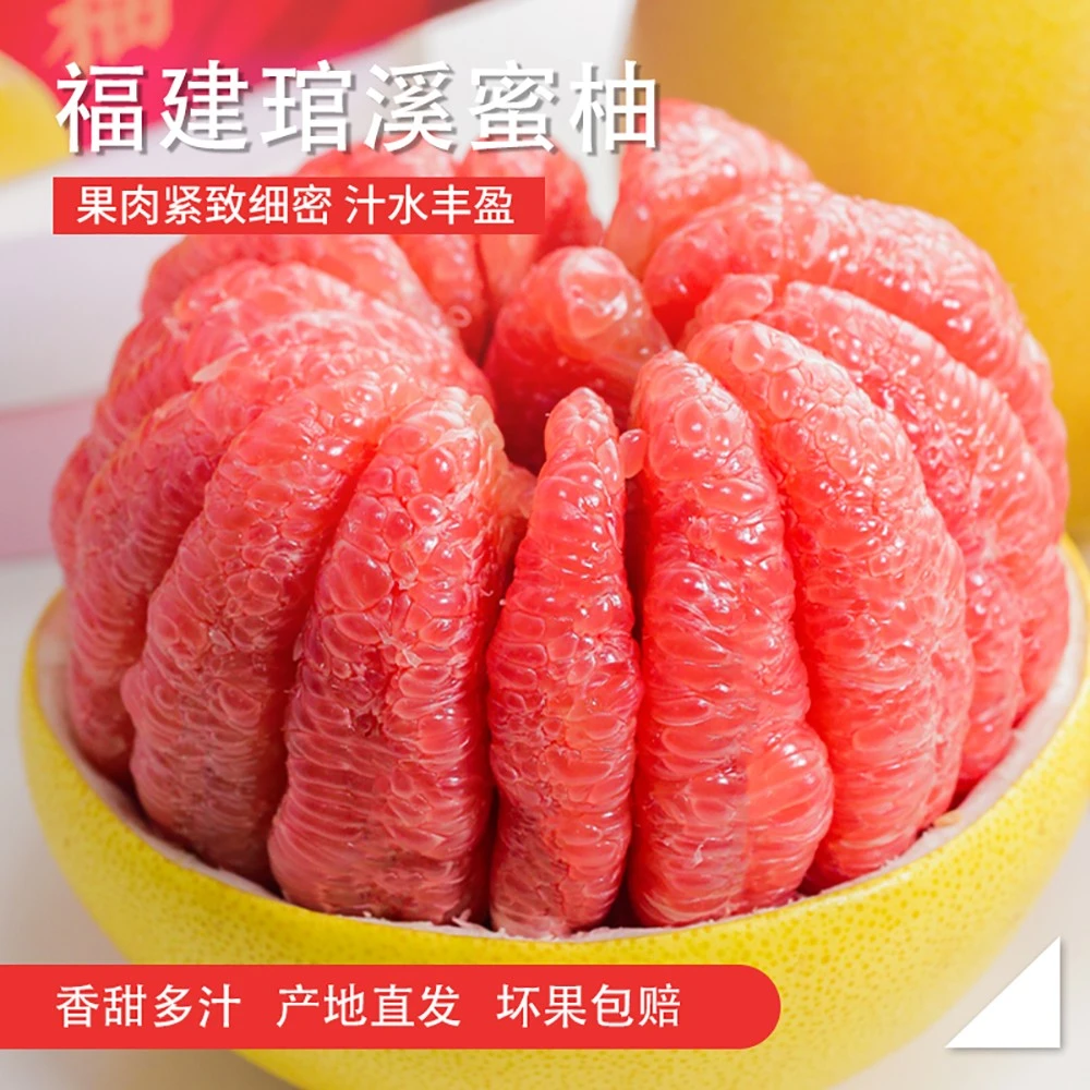 【三红蜜柚】福建平和老树三红蜜柚新鲜采摘琯溪三红柚1.5-2斤