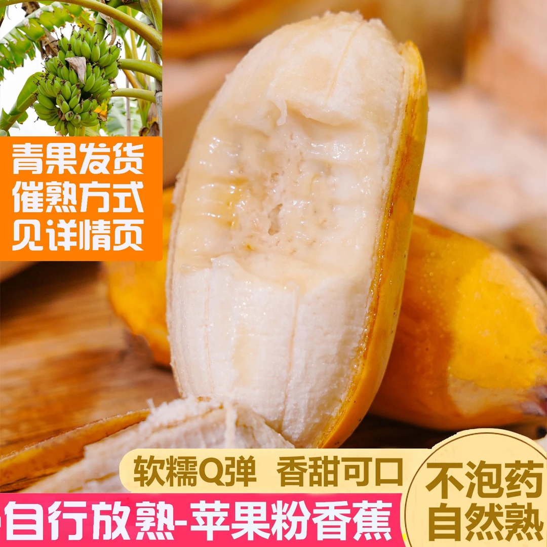 【坏果包赔】果源之家 福建苹果蕉 3/4.5斤装