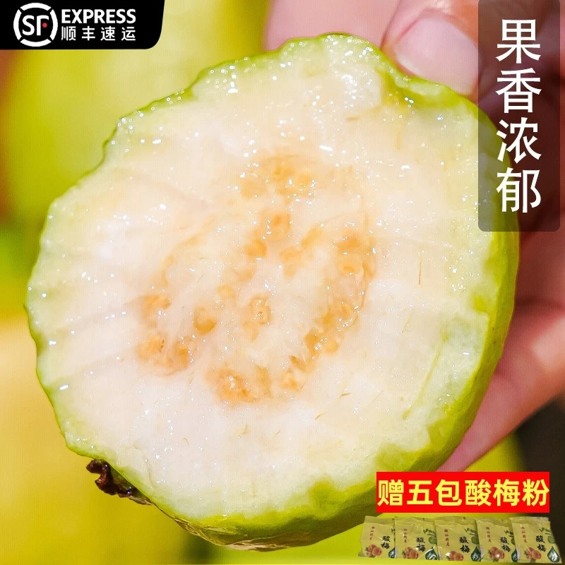【野猪啾一】 福建软糯白心软芭乐孕妇酸甜番石榴3/4.5斤