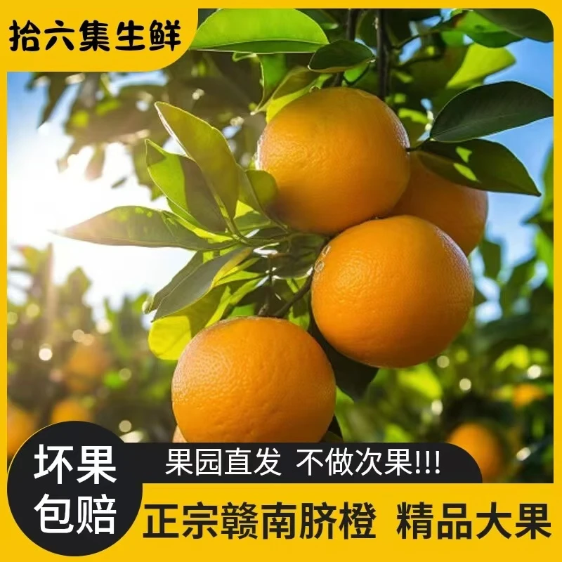 【正宗赣南脐橙】精品彩箱赣州发货果园产地直发现摘应季新鲜水果