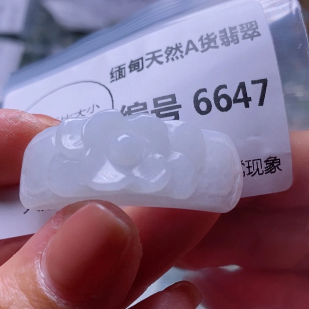 【闪购商品】翡翠颈饰未镶嵌