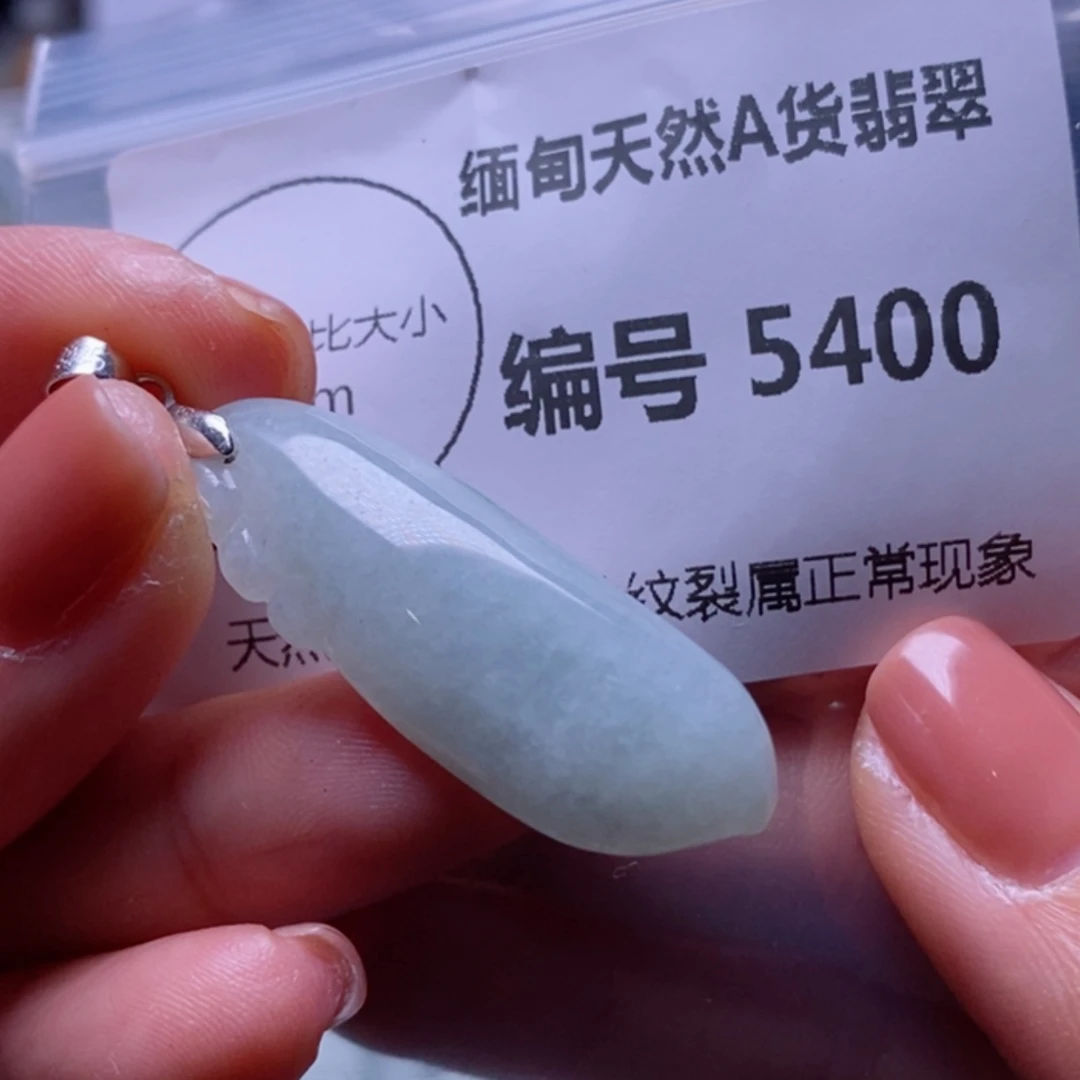 【闪购商品】翡翠颈饰未镶嵌